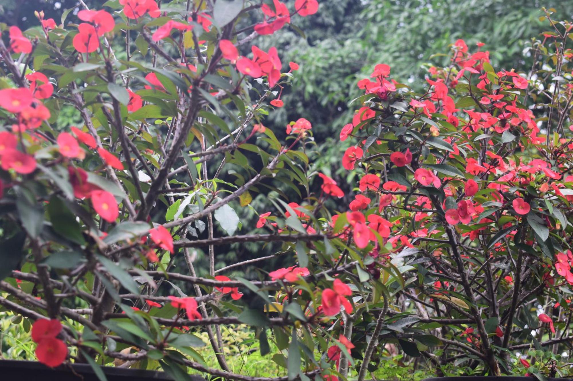 Namaya Nature Kandy Exterior foto